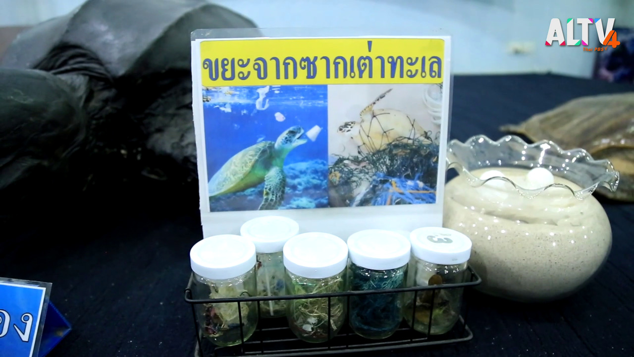 สนุกเรียน 230963 (02)