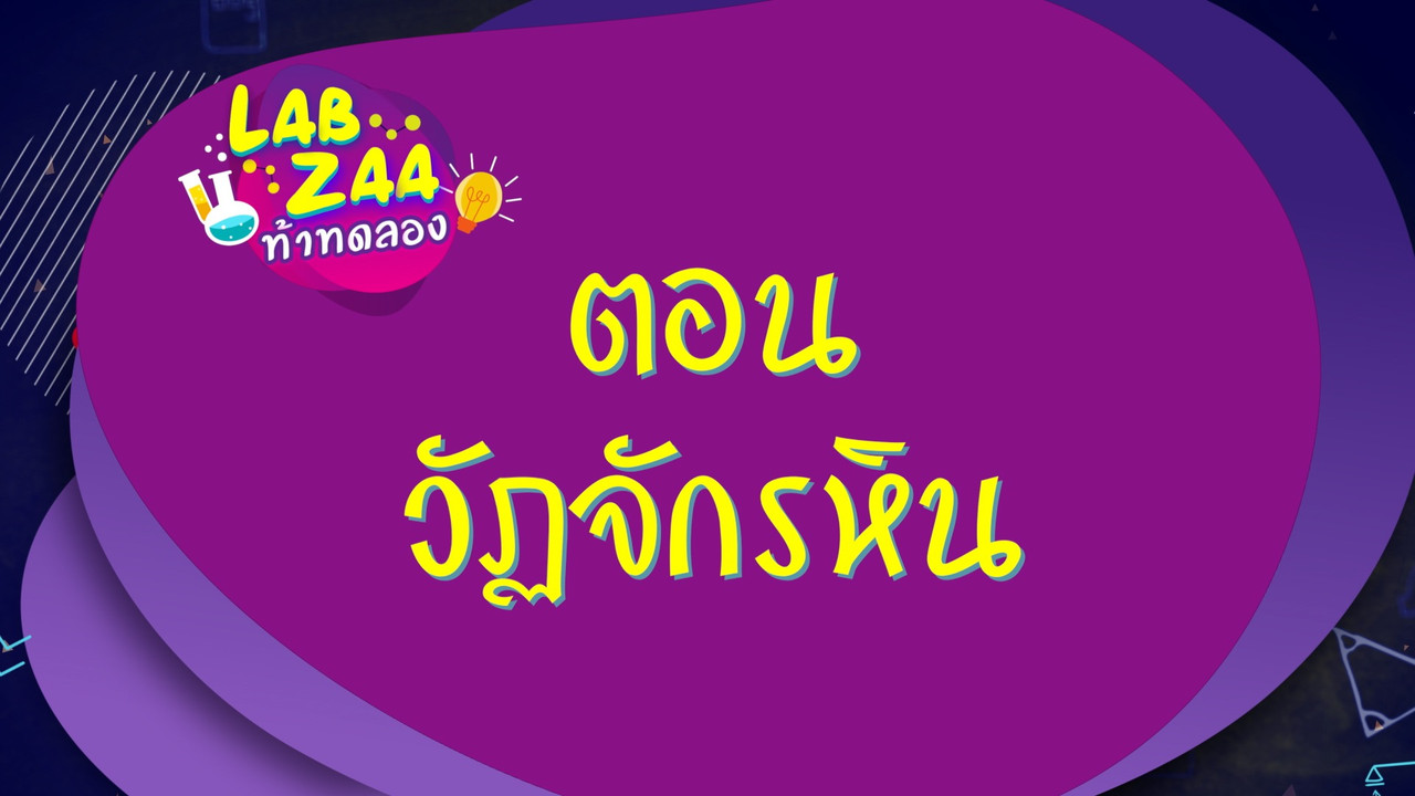 LabZaa631017-01