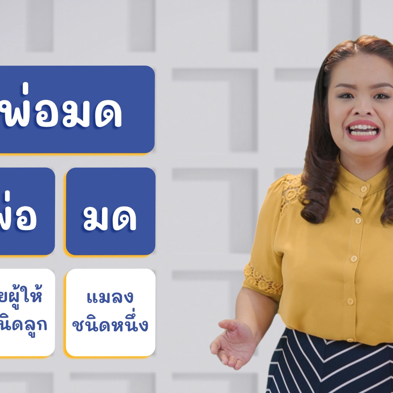 ThaiUnlimited 631107-3