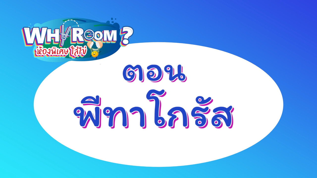 WhyRoom631115-01