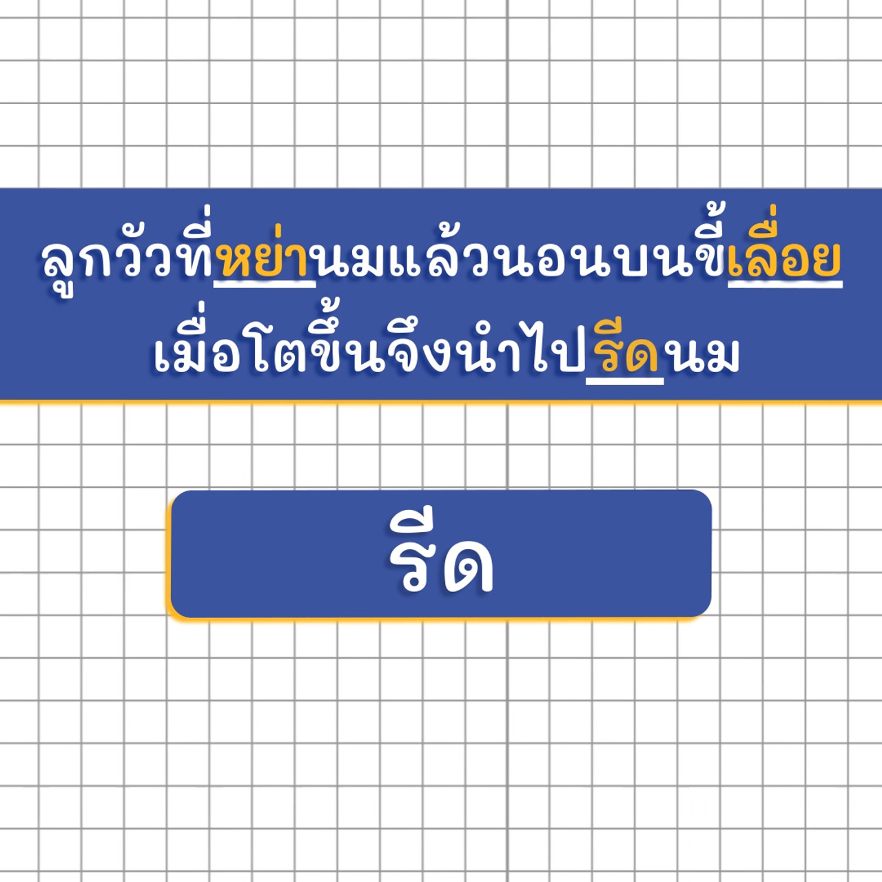 ThaiUnlimited 631114-5