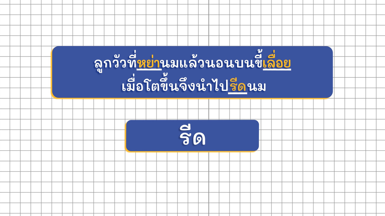 ThaiUnlimited 631114-5