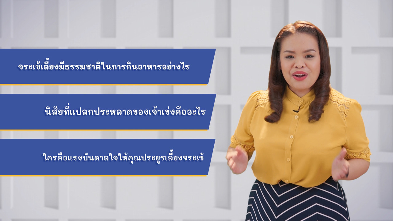 ThaiUnlimited 631115-3