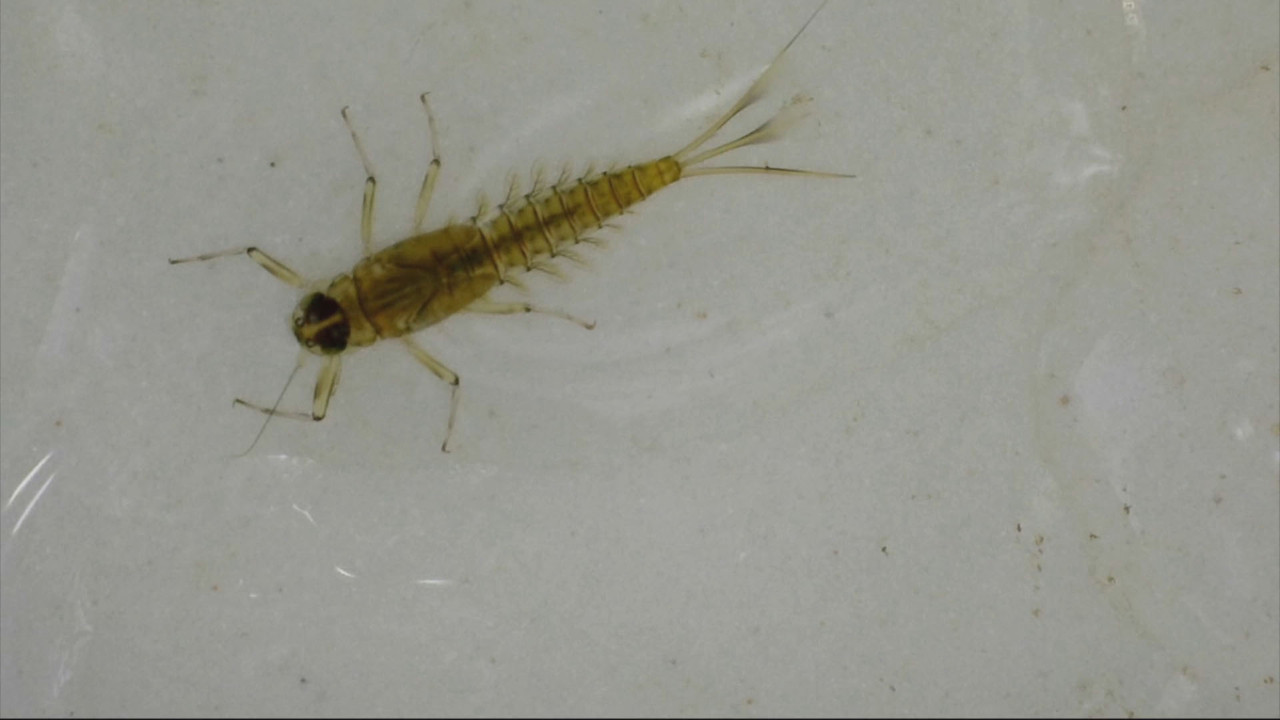 NatureSpy631120-02