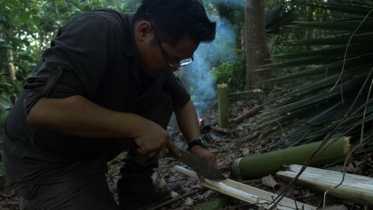 WildSurvival631017-02