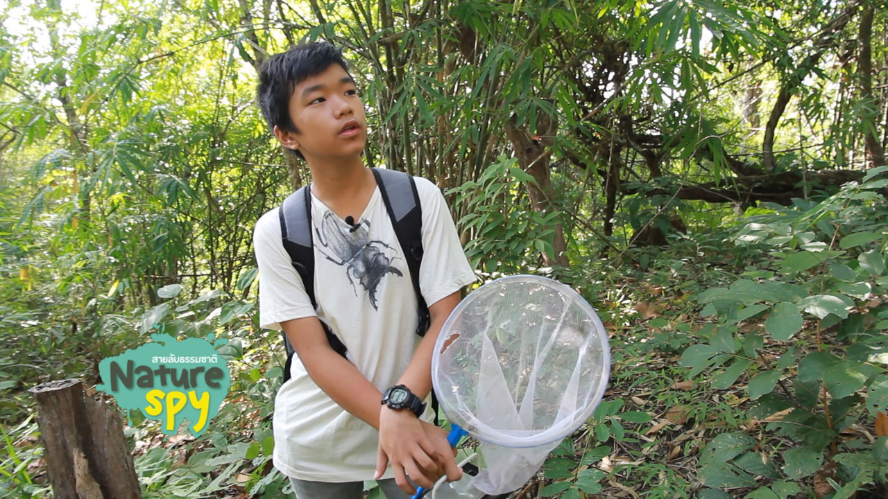 NatureSpy631020-26