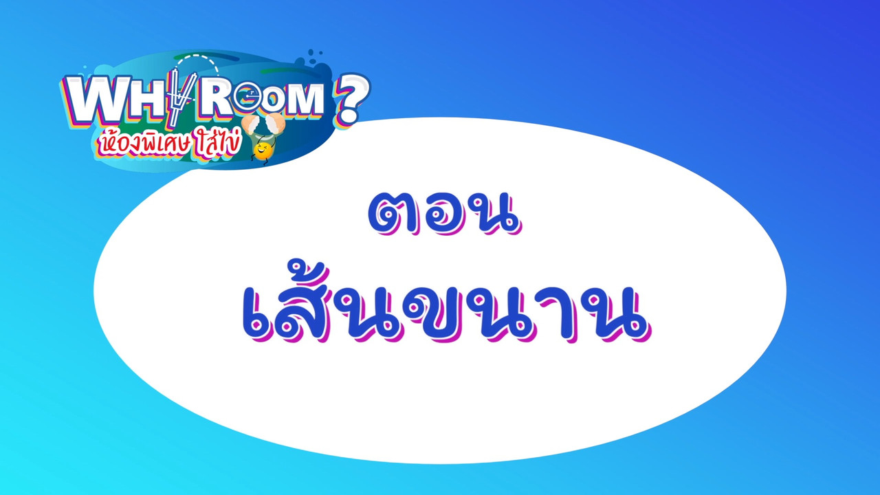 WhyRoom631025-01