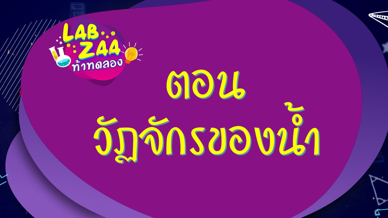 LabZaa631025-01