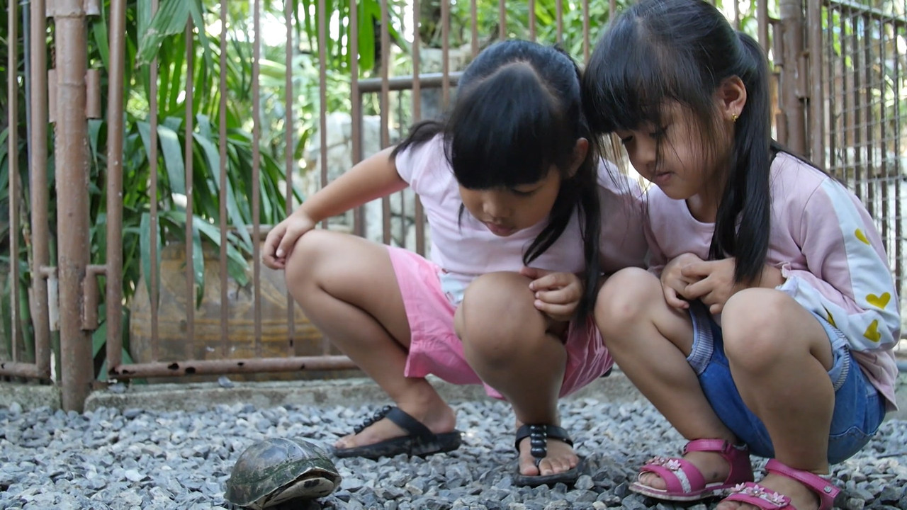 WitnoiKids 631027-2