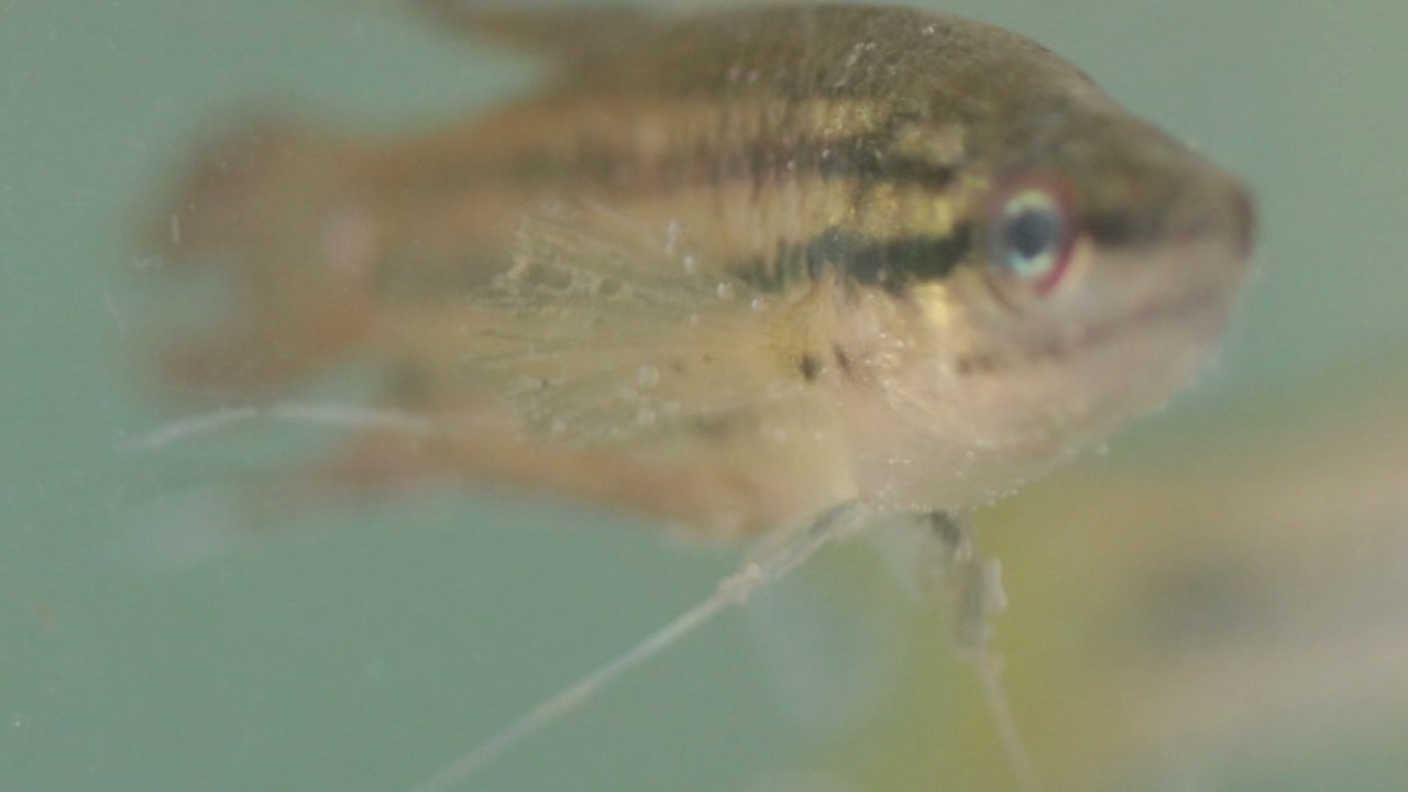 NatureSpy631027-04