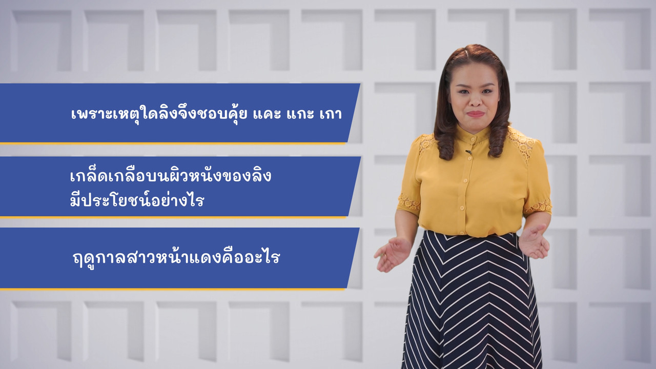 ThaiUnlimited 631101-2