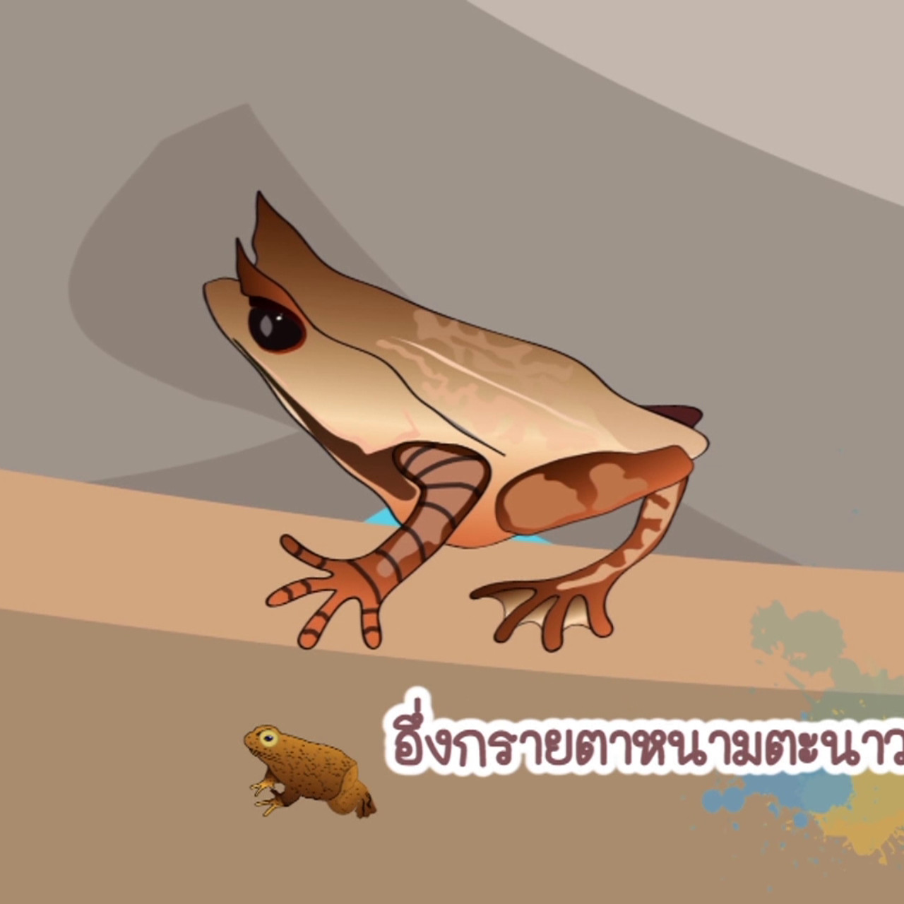 NatureSpy631125-05