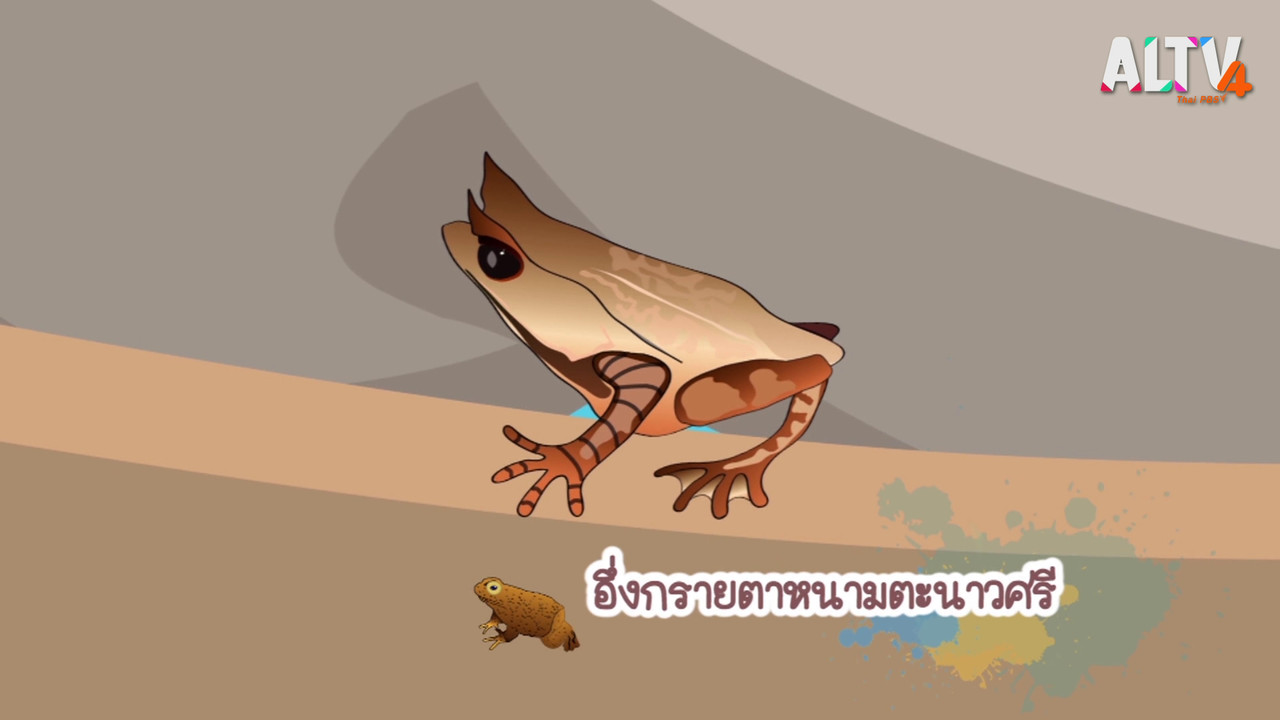 NatureSpy631125-05