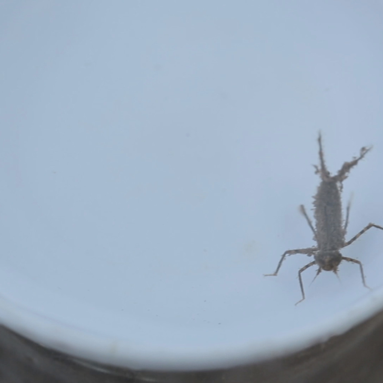NatureSpy631126-06