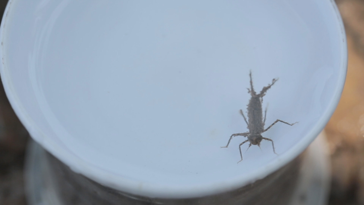 NatureSpy631126-06