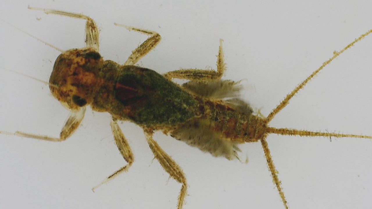 NatureSpy631126-07