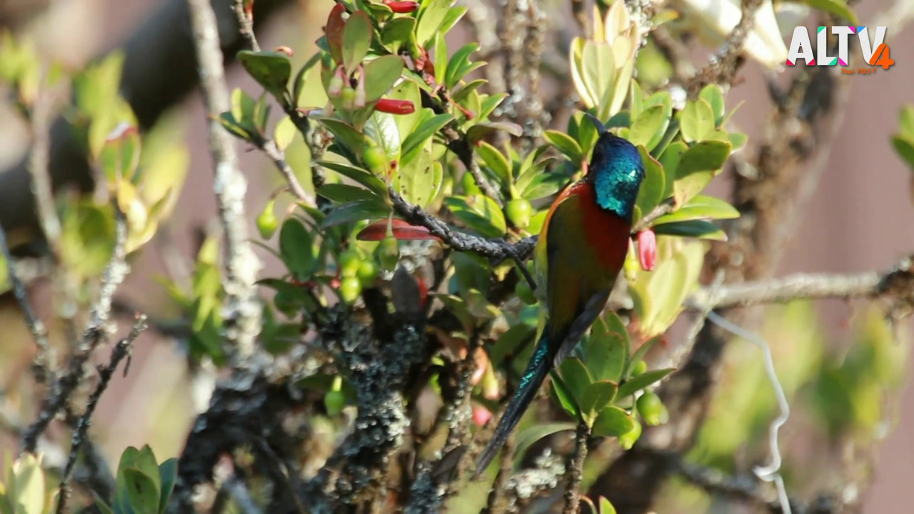 NatureSpy631127-02