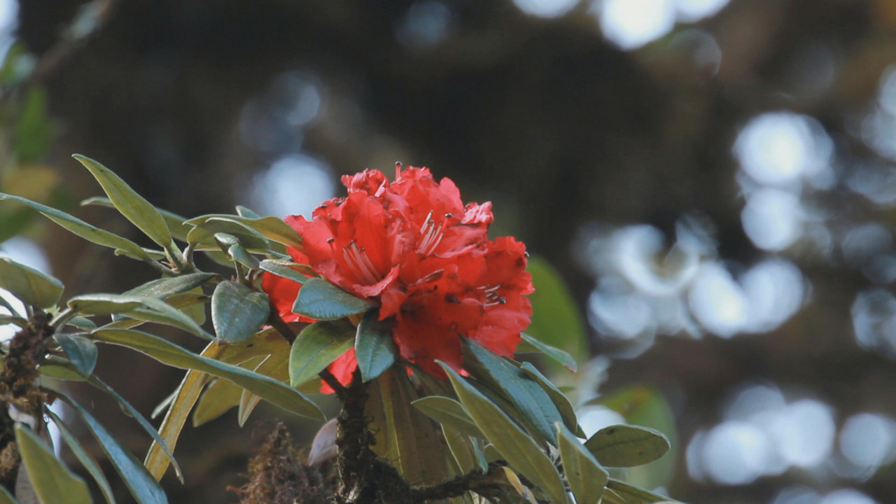 NatureSpy631127-11