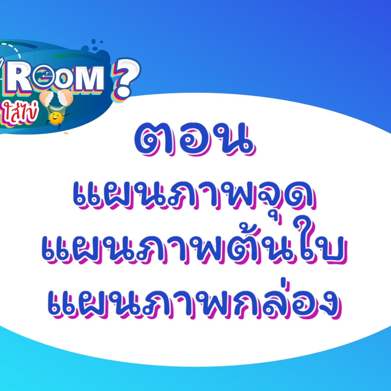 WhyRoom631226-01
