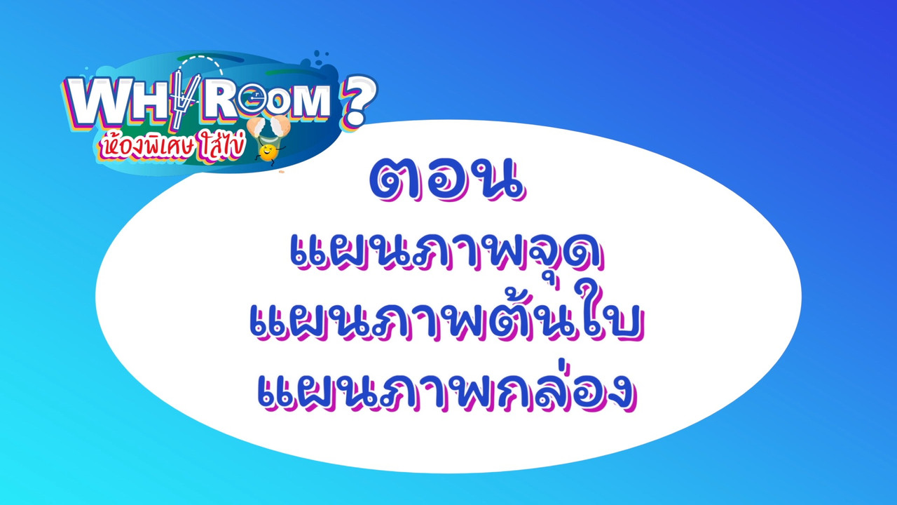 WhyRoom631226-01