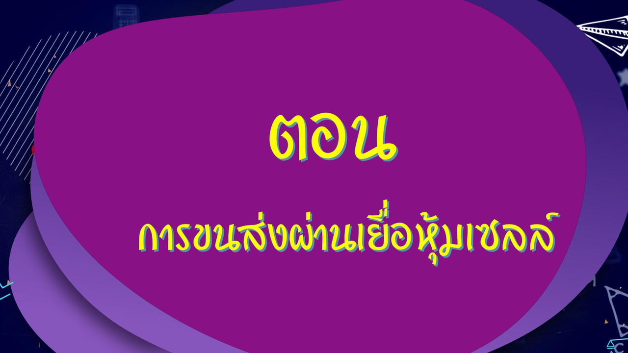 LabZaa631226-01