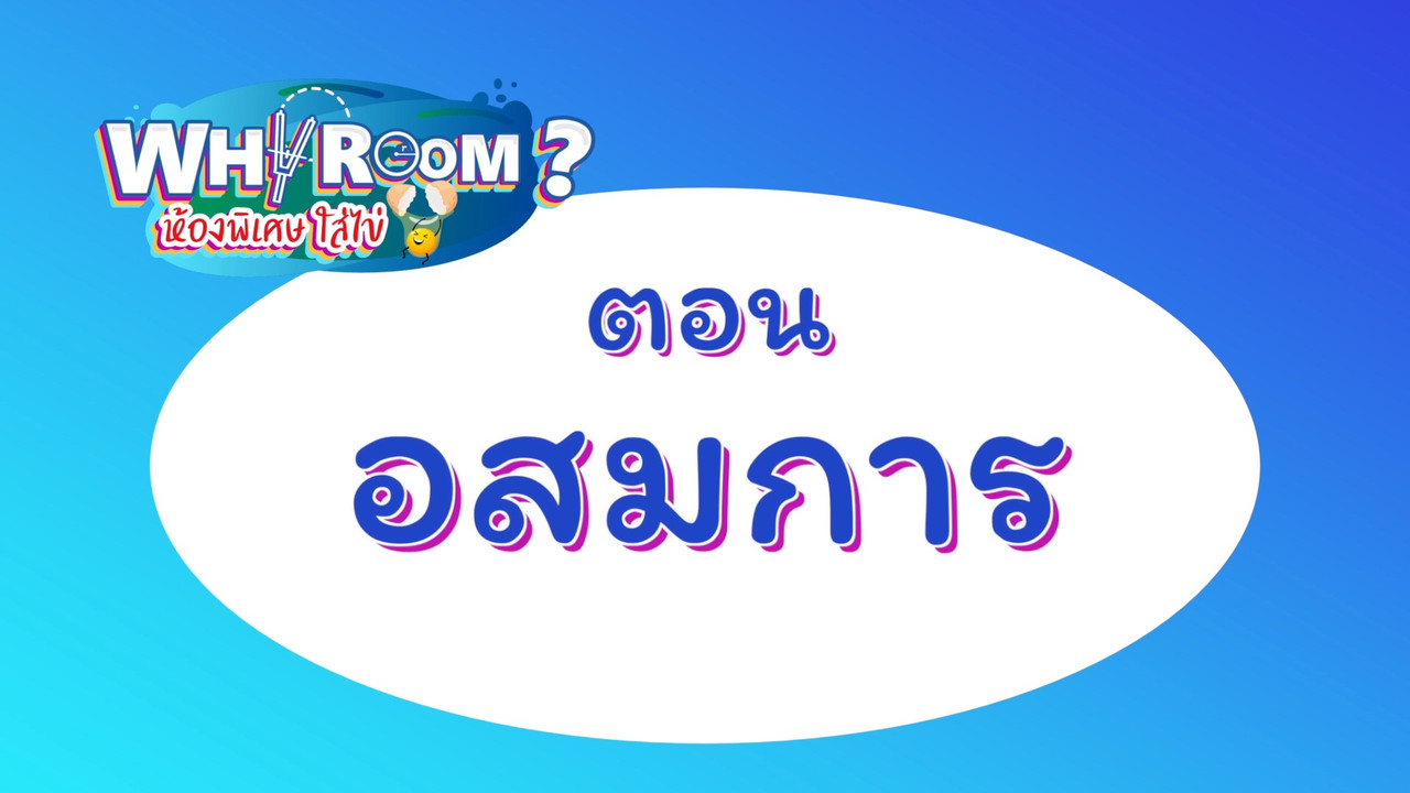 WhyRoom631129-01