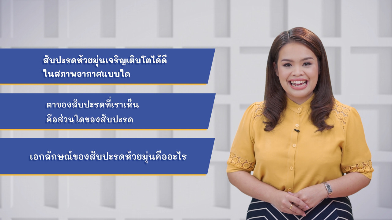 ThaiUnlimited 631129-2