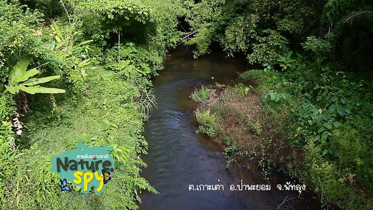 NatureSpy631201-06