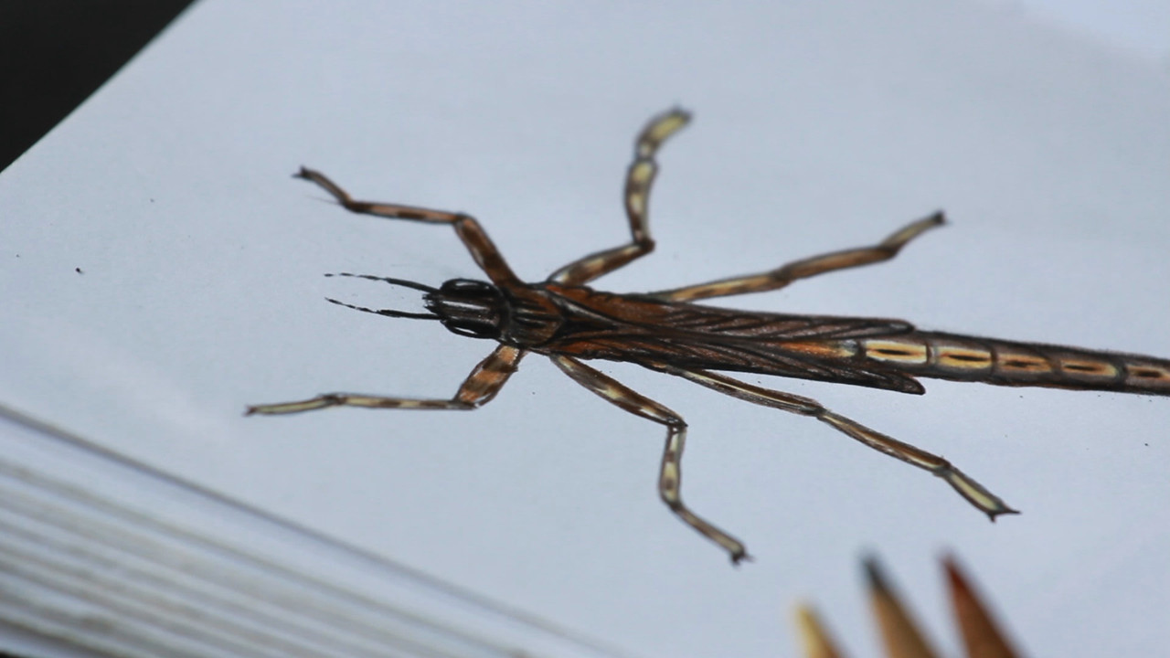 NatureSpy631202-18
