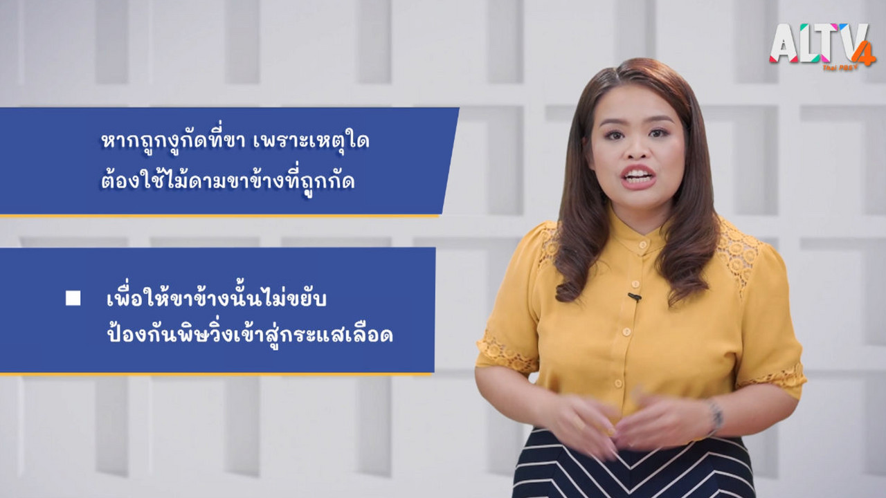 ThaiUnlimited 631205-4