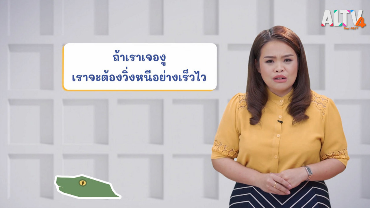 ThaiUnlimited 631205-3