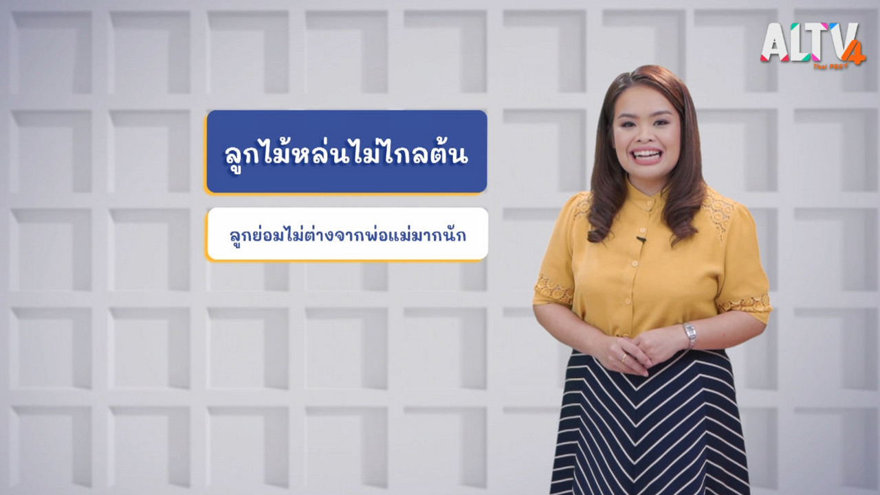 ThaiUnlimited 631206-4
