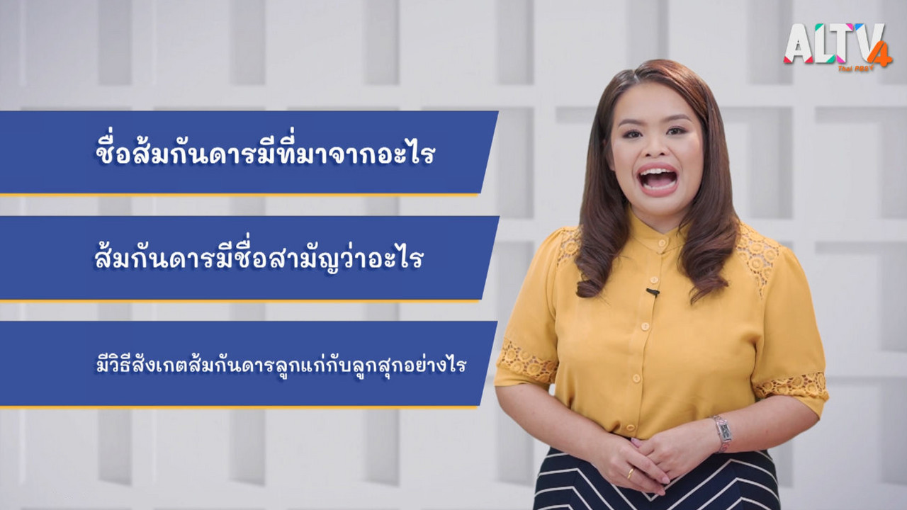 ThaiUnlimited 631206-1