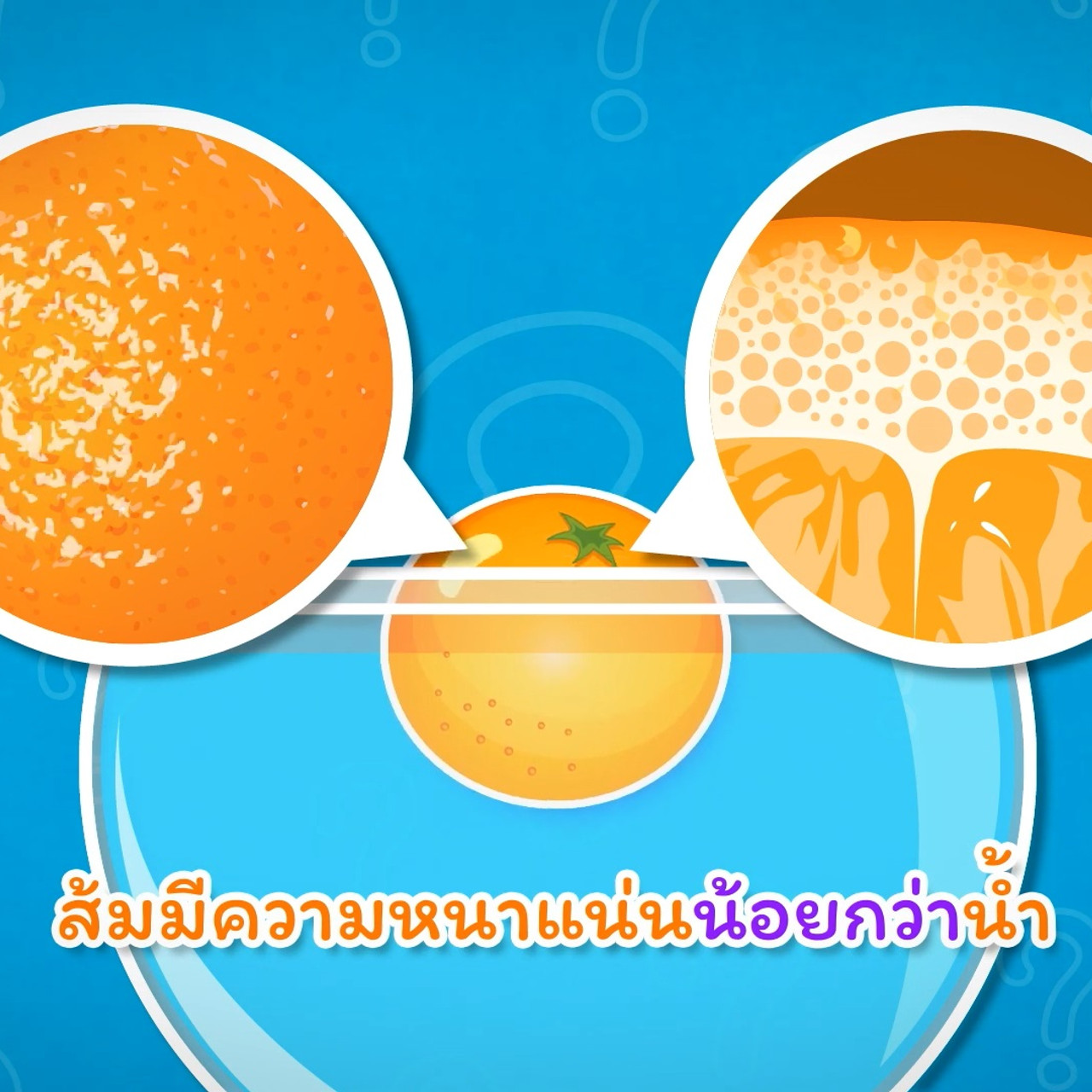 Kidwit 631208-2
