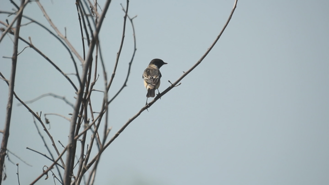 NatureSpy631210-07