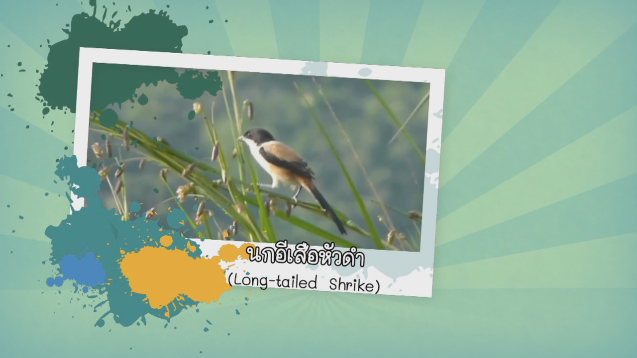 NatureSpy631210-08