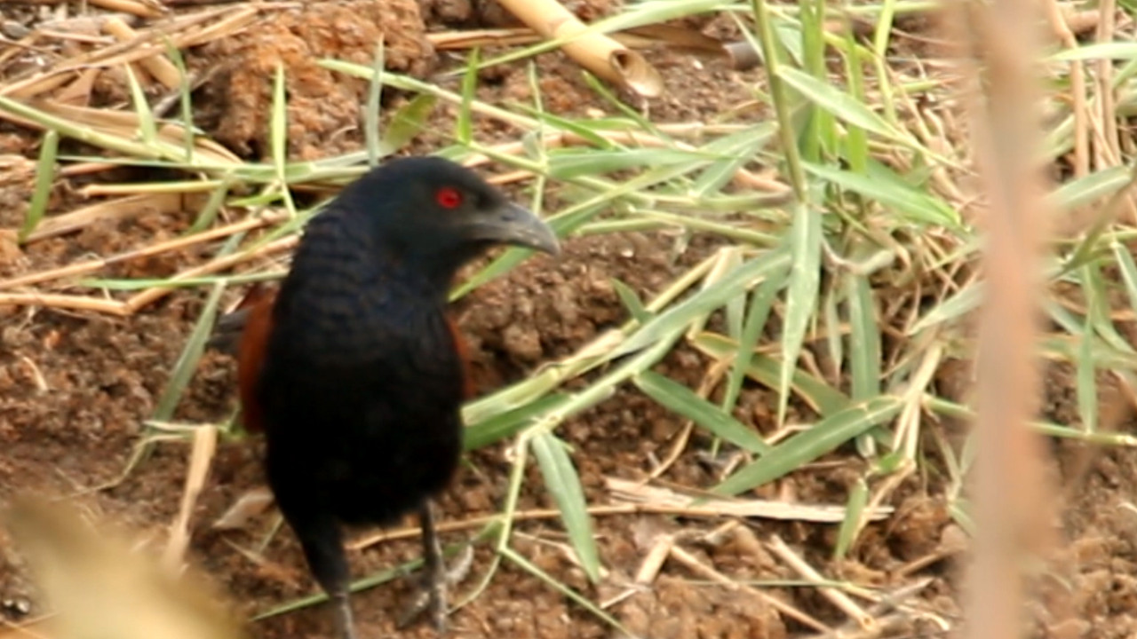 NatureSpy631211-04