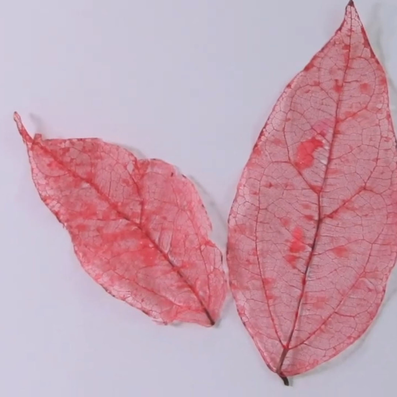 1wit_640101 (9)