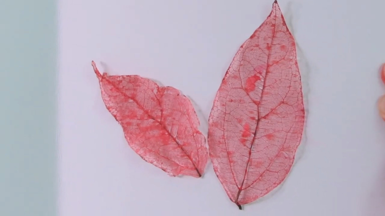 1wit_640101 (9)