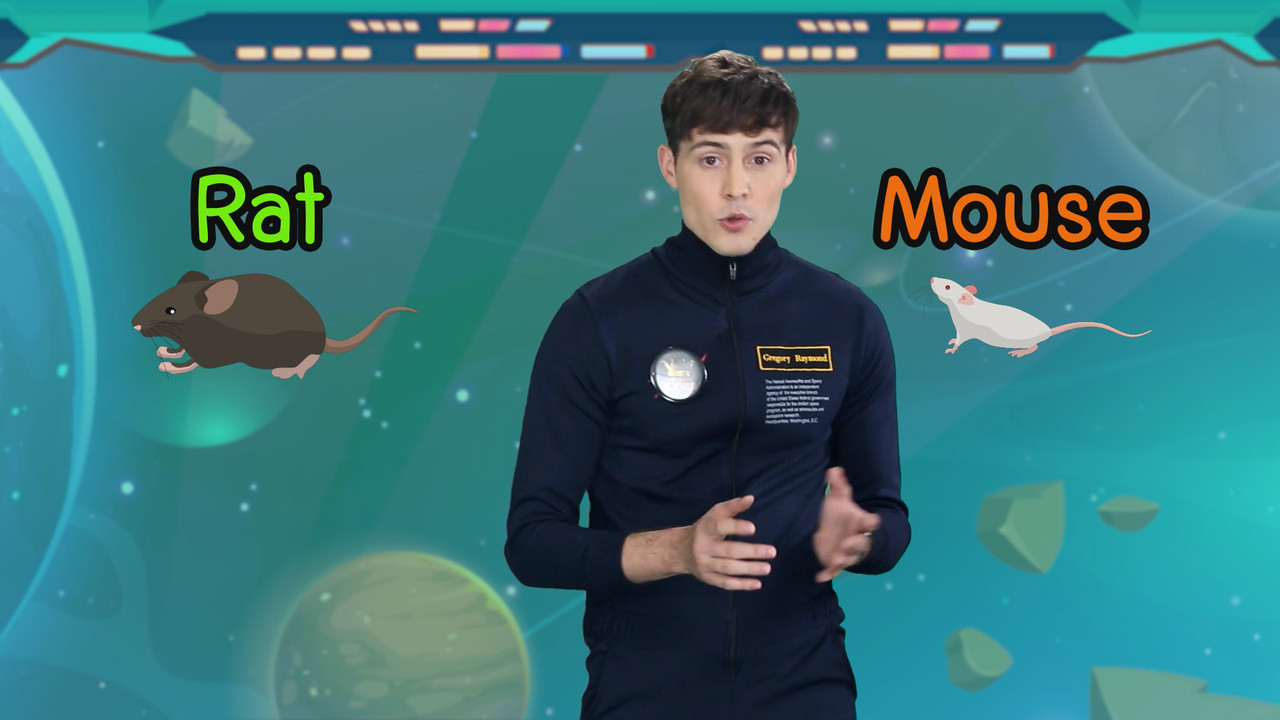 VocabKing640127-18