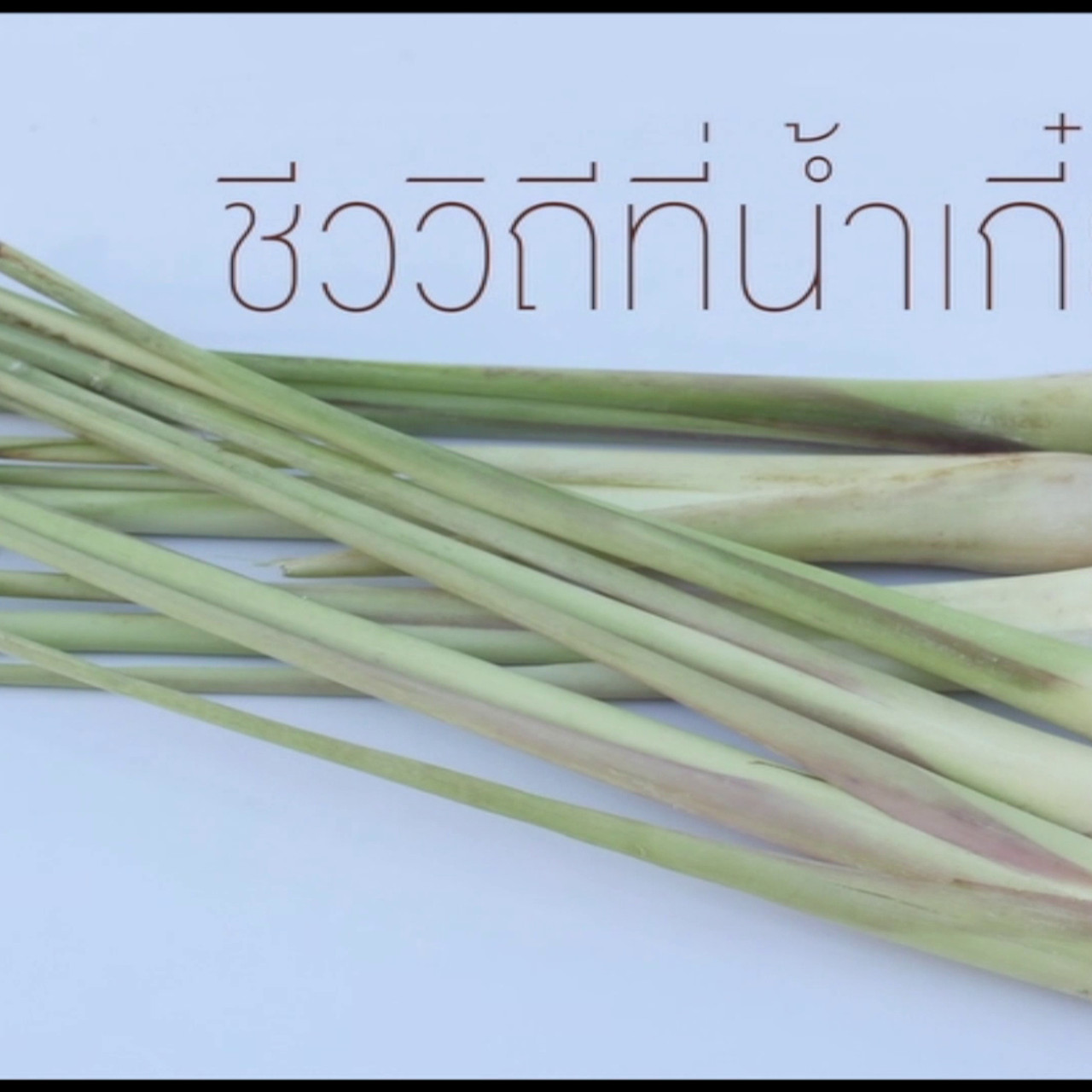 HaveANewsDay631203-1