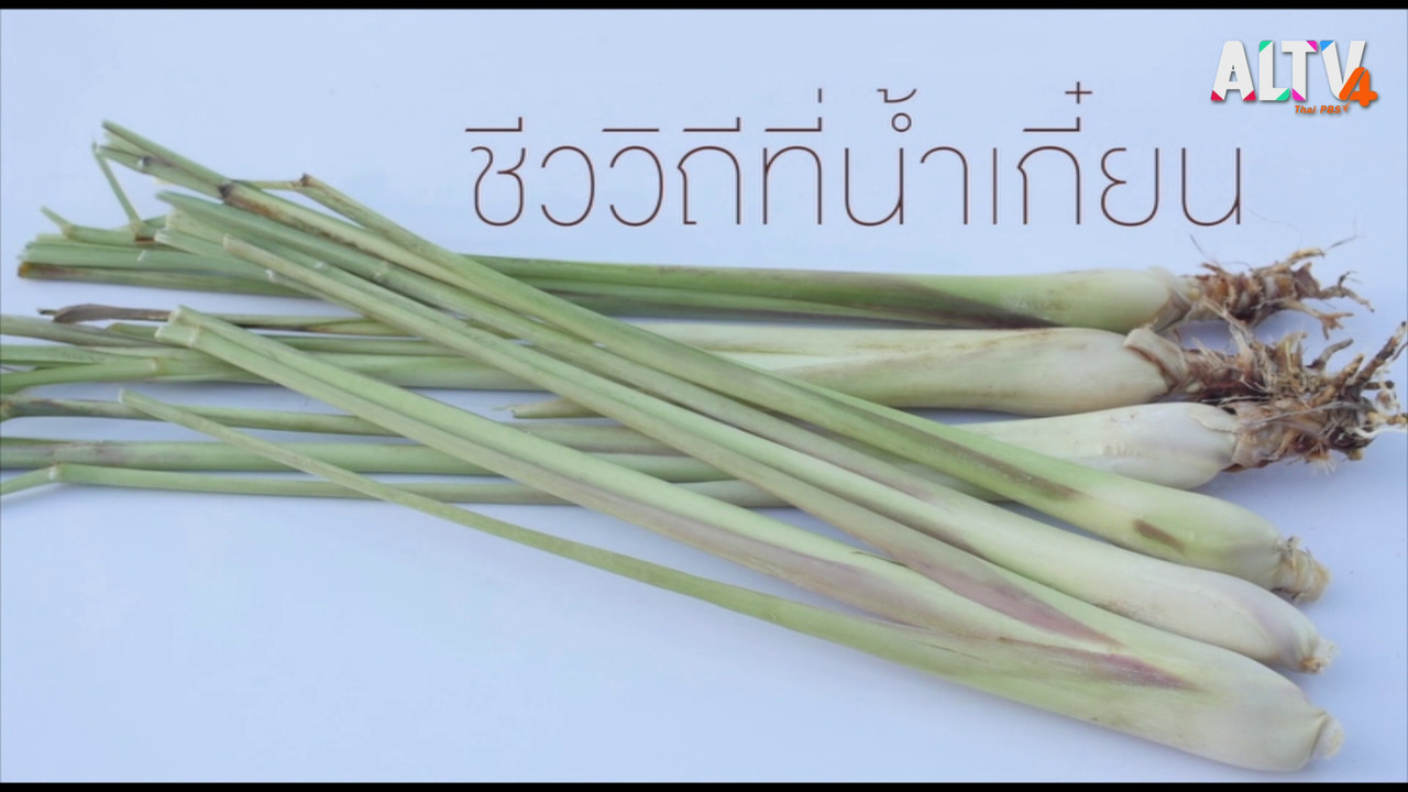 HaveANewsDay631203-1