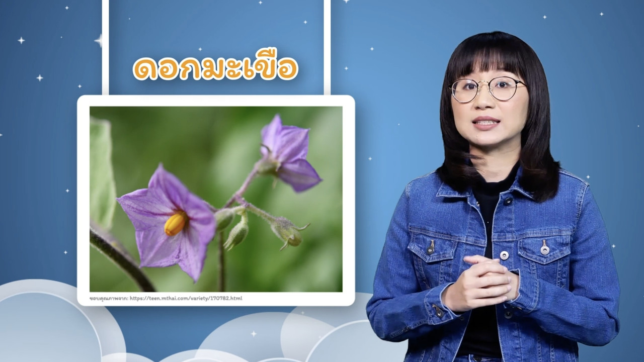 sanookkid_640115 (11)