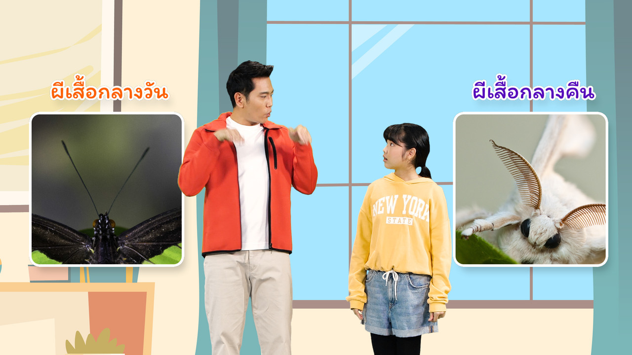 kidwit_640126 (3)