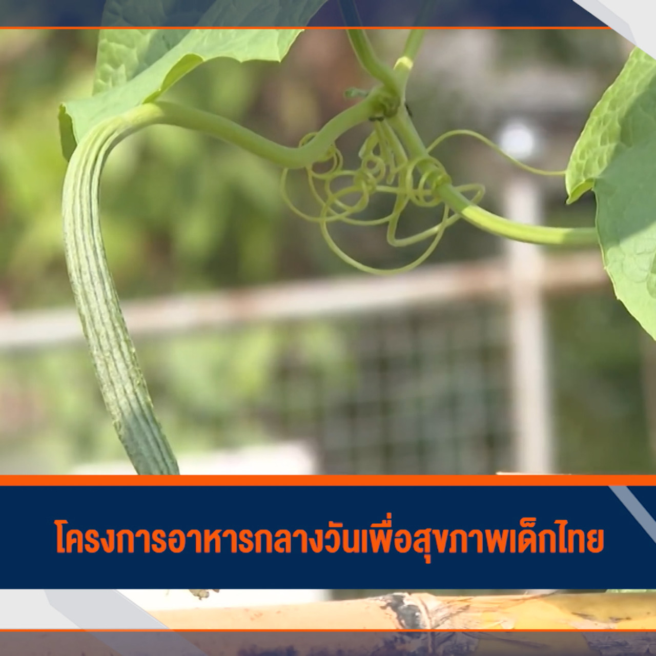 ็HaveANEWSDay-1-640311-4