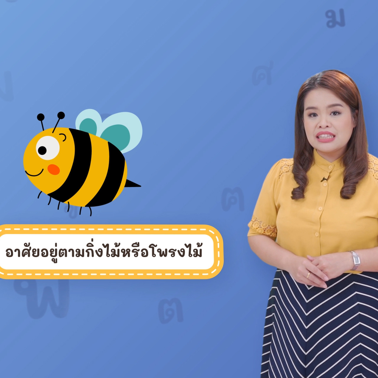 Thai-640313-2
