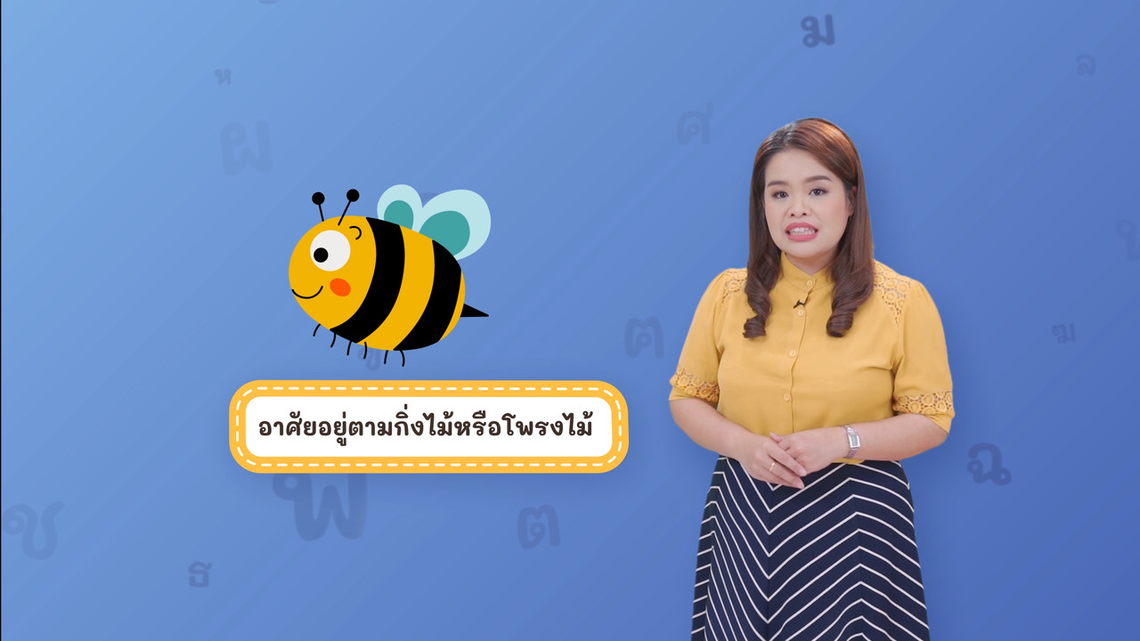 Thai-640313-2