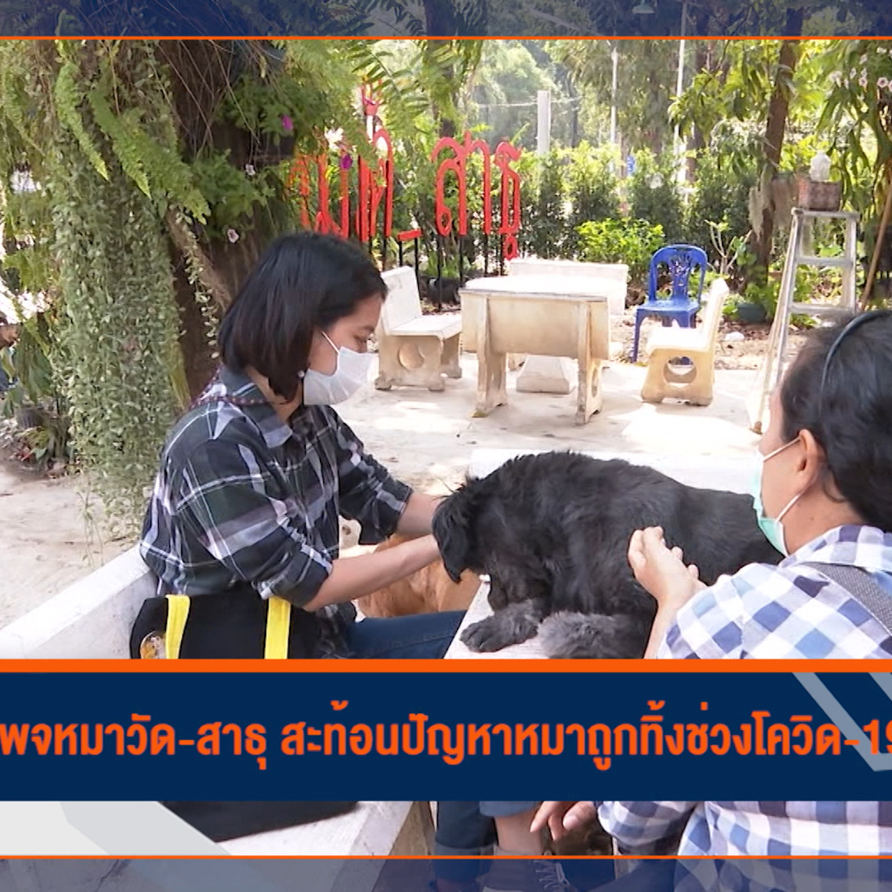 Have a news Day-3-640313-1