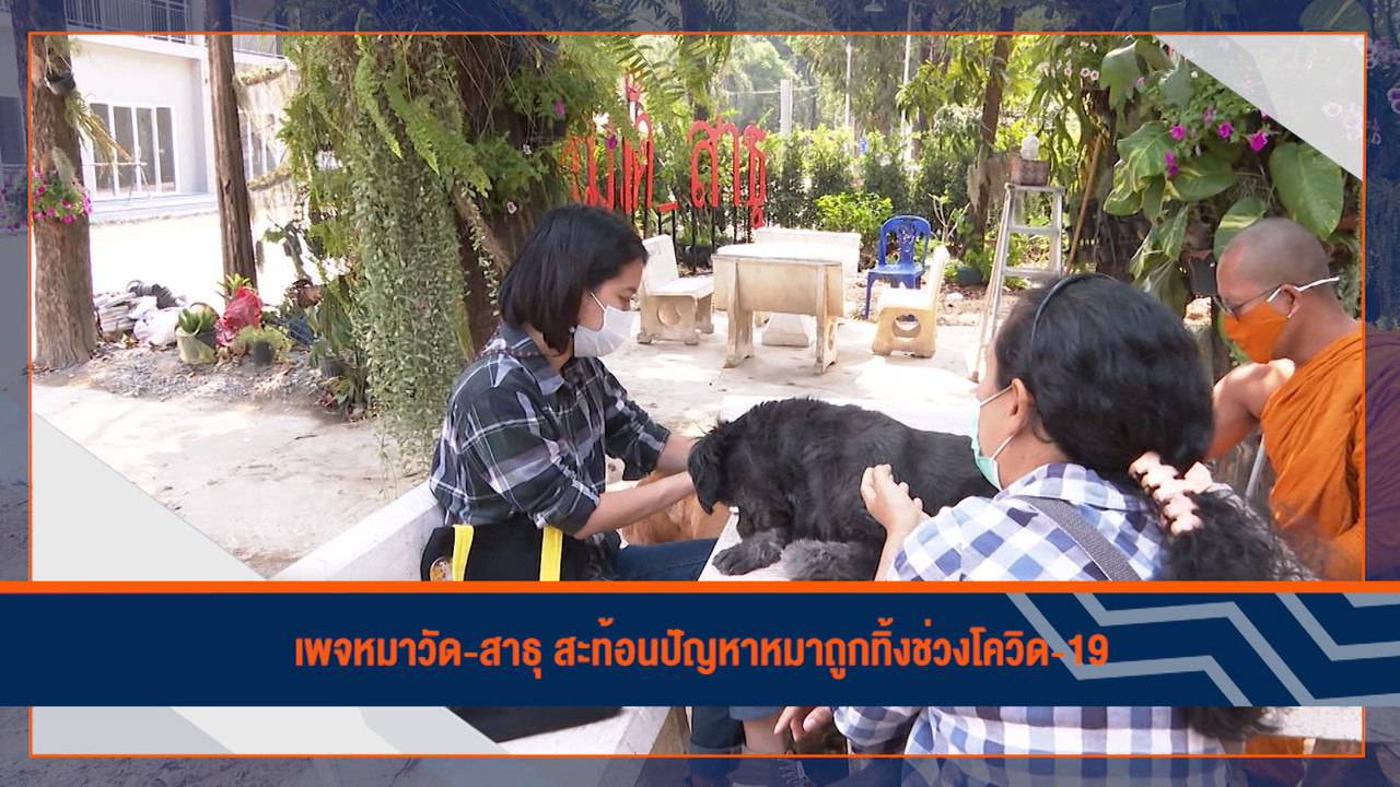 Have a news Day-3-640313-1