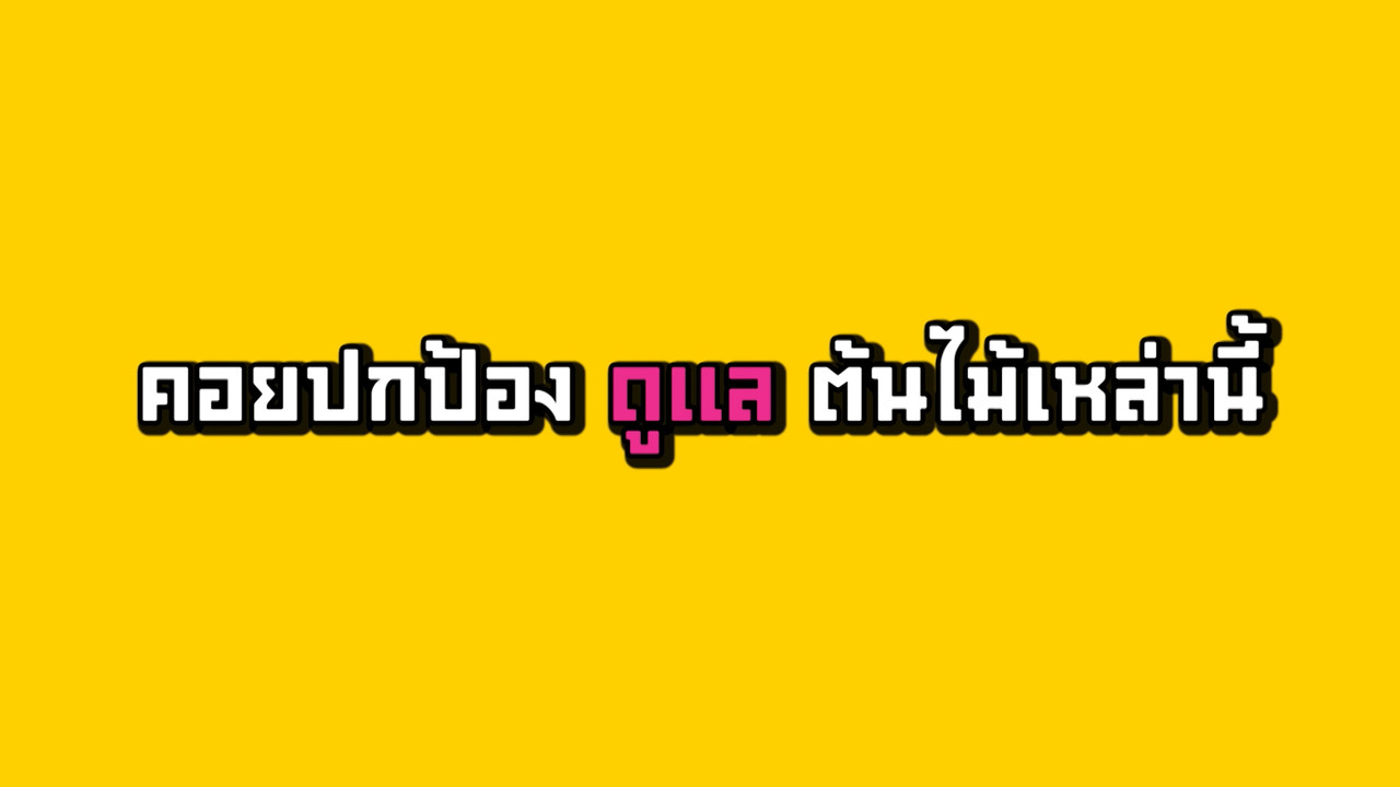 Have a news Day-3-640316-12